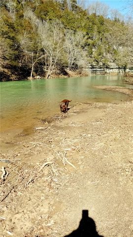 281 County Road 9953, Green Forest, AR 72638