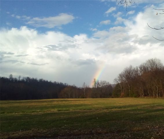 281 County Road 9953, Green Forest, AR 72638