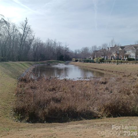 9572 Blossom Hill Drive, Huntersville, NC 28078