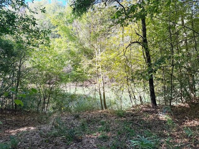 0 Towaliga South Road, Jackson, GA 30233