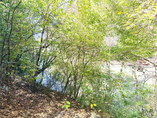 0 Towaliga South Road, Jackson, GA 30233