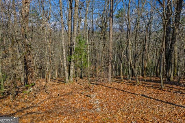 55 Spruce Drive 55, Ellijay, GA 30540