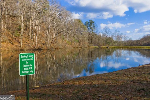 55 Spruce Drive 55, Ellijay, GA 30540