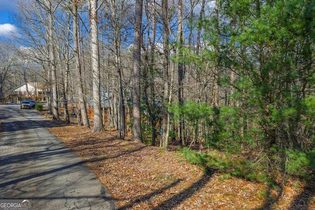 55 Spruce Drive 55, Ellijay, GA 30540