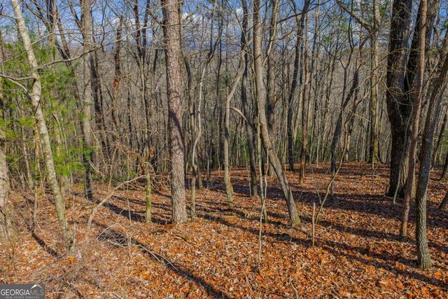 55 Spruce Drive 55, Ellijay, GA 30540