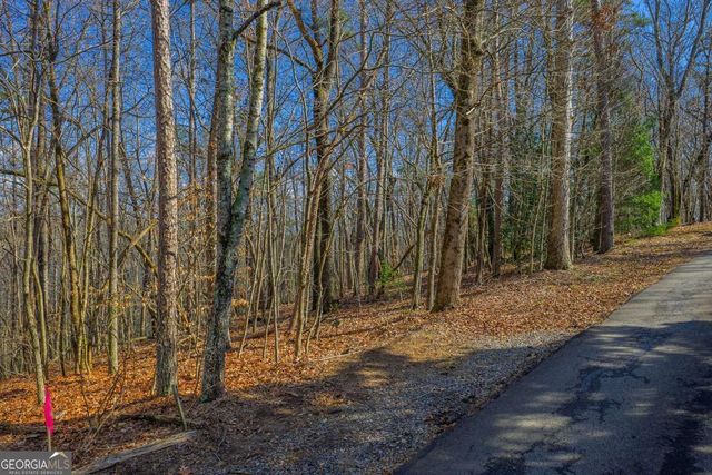 55 Spruce Drive 55, Ellijay, GA 30540