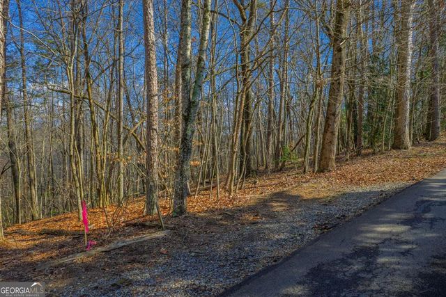 55 Spruce Drive 55, Ellijay, GA 30540