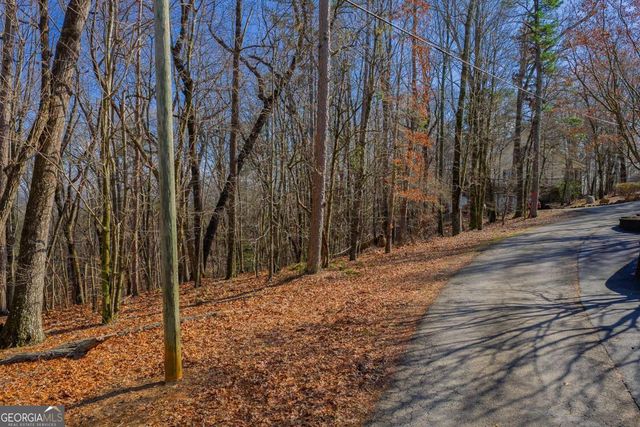 55 Spruce Drive 55, Ellijay, GA 30540