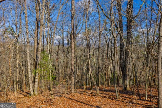 55 Spruce Drive 55, Ellijay, GA 30540