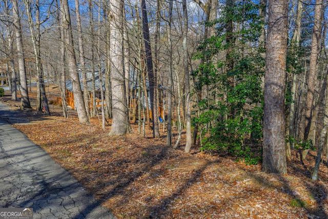 55 Spruce Drive 55, Ellijay, GA 30540