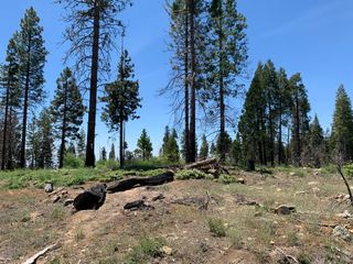 1 Shaver Lake, Auberry, CA 93602