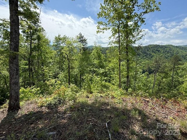 0 Fontana Lake Way 34, Bryson City, NC 28713