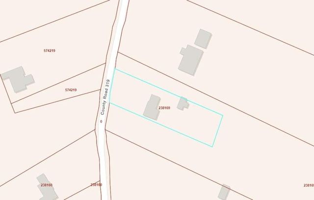 19847 County Road 319, Brazoria, TX 77422