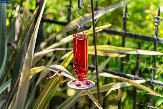 525 Silver Oak Ln, Danville, CA 94506