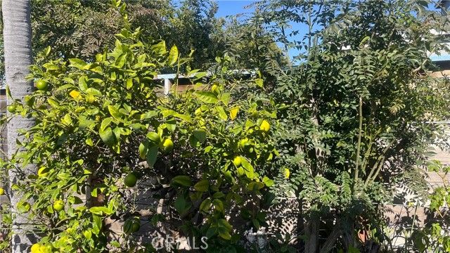 2220 Delaware A, Santa Monica, CA 90404