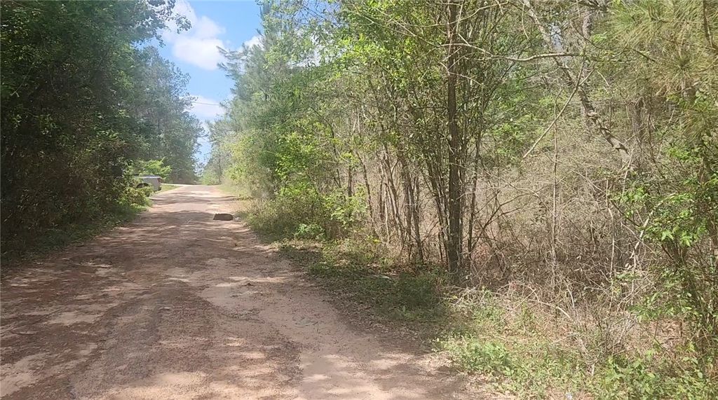 Lot 8 Yupon Lane, Plantersville, TX 77363 — exterior