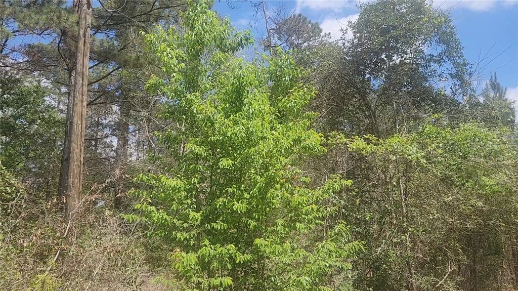 Lot 8 Yupon Lane, Plantersville, TX 77363 — photo 2