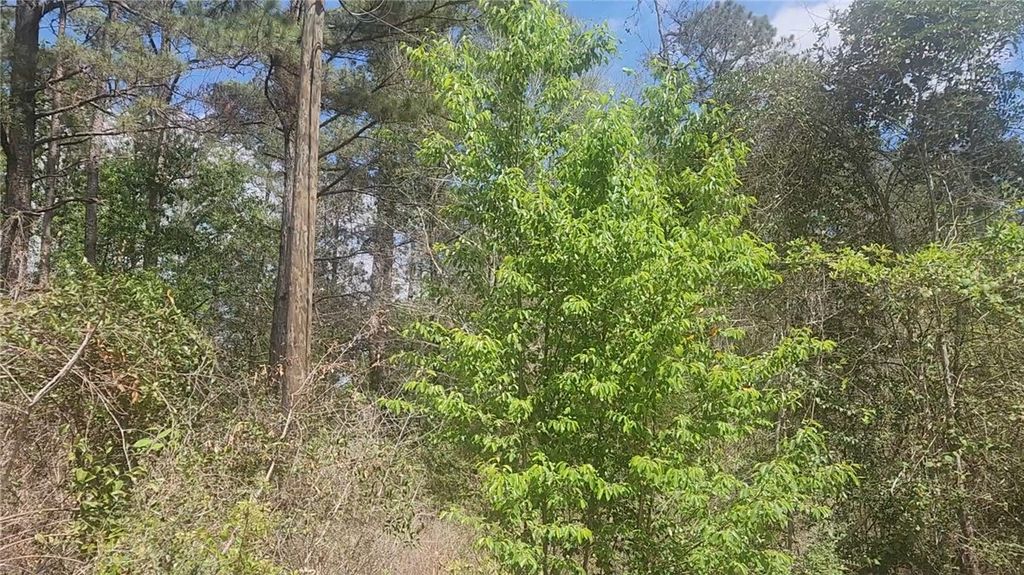 Lot 8 Yupon Lane, Plantersville, TX 77363 — photo 3