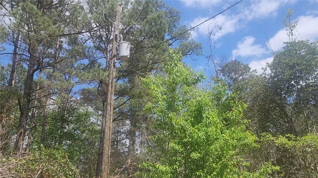 Lot 8 Yupon Lane, Plantersville, TX 77363 — photo 4