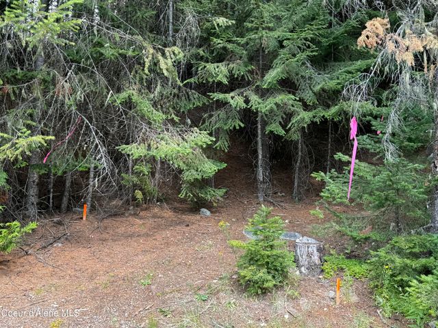 Lot 7 Nordman, Nordman, ID 83848