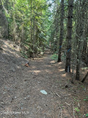 Lot 7 Nordman, Nordman, ID 83848