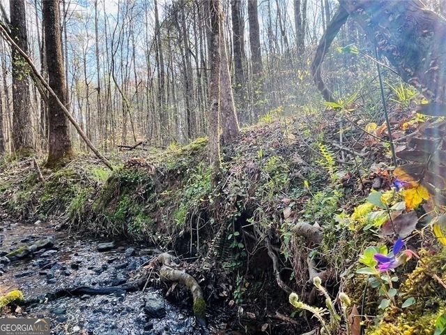 211 Maggies Road, Canton, GA 30115