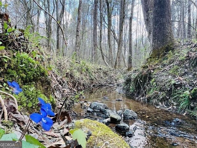 211 Maggies Road, Canton, GA 30115