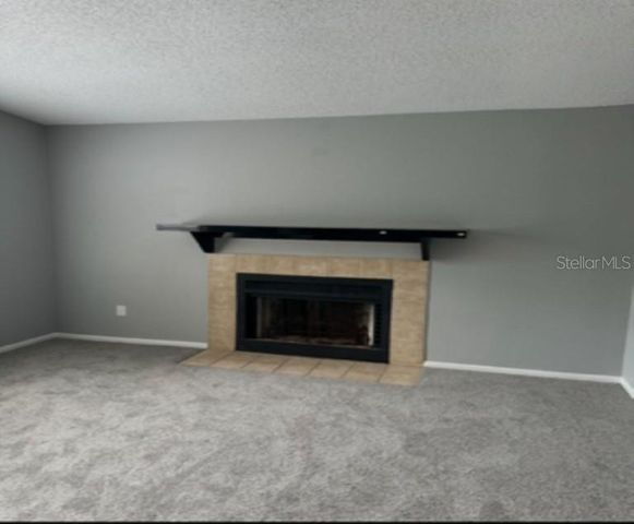 4021 TUMBLE WOOD TRAIL 204, Tampa, FL 33613