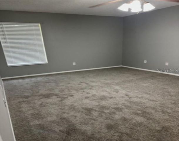 4021 TUMBLE WOOD TRAIL 204, Tampa, FL 33613
