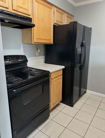 4021 TUMBLE WOOD TRAIL 204, Tampa, FL 33613