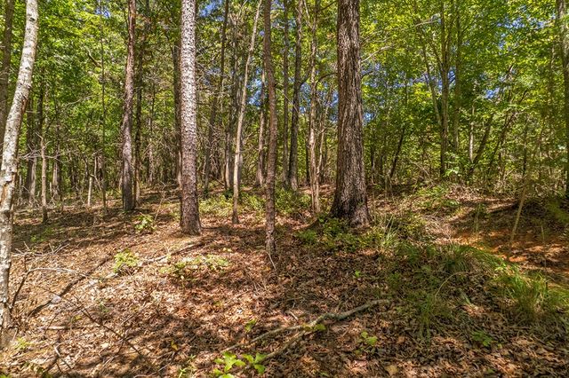 Lot 1 Harris Branch Road E, Ellijay, GA 30540