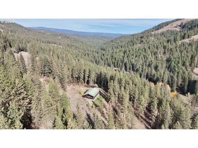 48144 E PINE CREEK Rd, Halfway, OR 97834