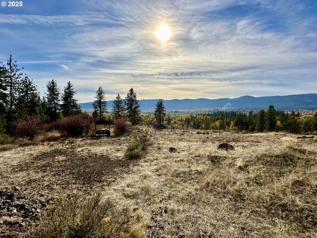 48144 E PINE CREEK Rd, Halfway, OR 97834