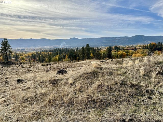 48144 E PINE CREEK Rd, Halfway, OR 97834