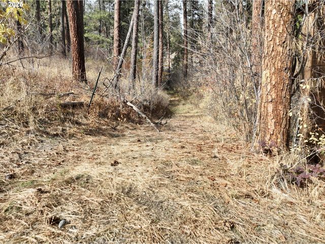 48144 E PINE CREEK Rd, Halfway, OR 97834