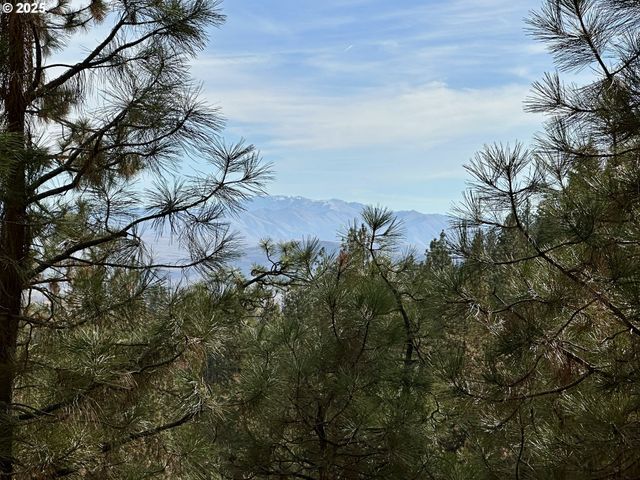 48144 E PINE CREEK Rd, Halfway, OR 97834