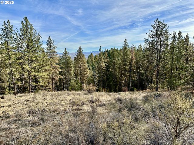 48144 E PINE CREEK Rd, Halfway, OR 97834