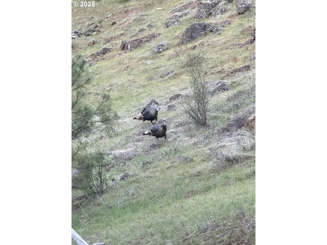 48144 E PINE CREEK Rd, Halfway, OR 97834