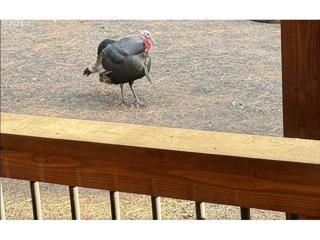 48144 E PINE CREEK Rd, Halfway, OR 97834