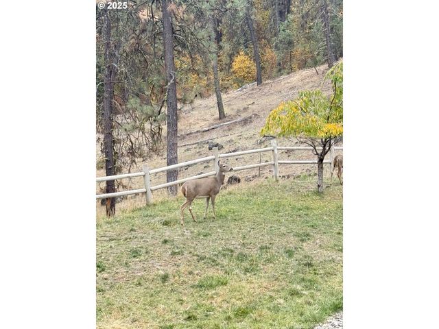 48144 E PINE CREEK Rd, Halfway, OR 97834