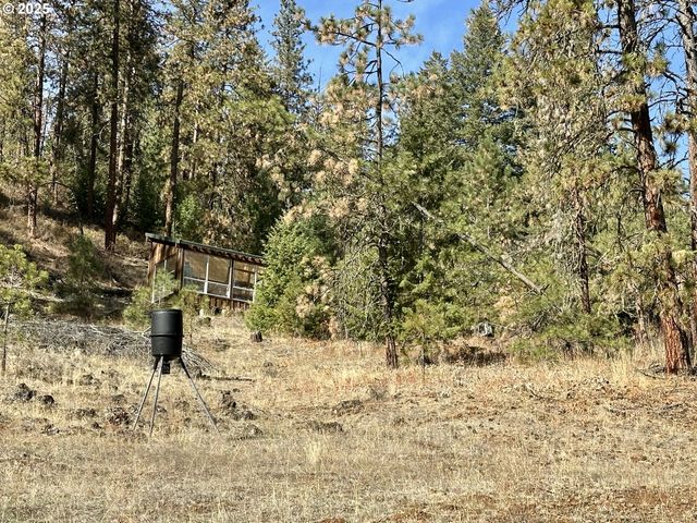 48144 E PINE CREEK Rd, Halfway, OR 97834