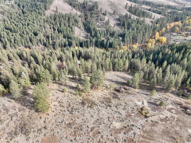 48144 E PINE CREEK Rd, Halfway, OR 97834