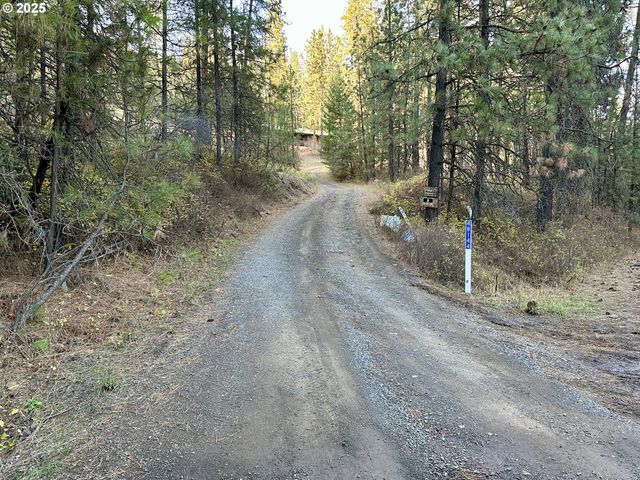 48144 E PINE CREEK Rd, Halfway, OR 97834