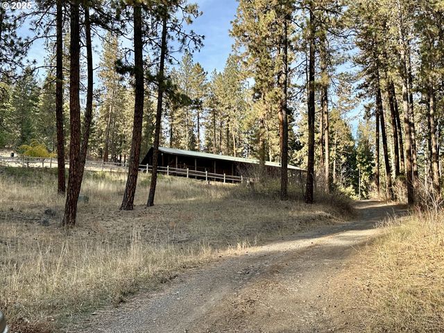 48144 E PINE CREEK Rd, Halfway, OR 97834