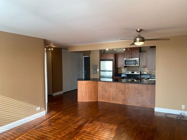 3930 N Pine Grove Avenue 514, Chicago, IL 60613