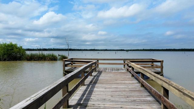 118 Pony Trail, Angleton, TX 77515