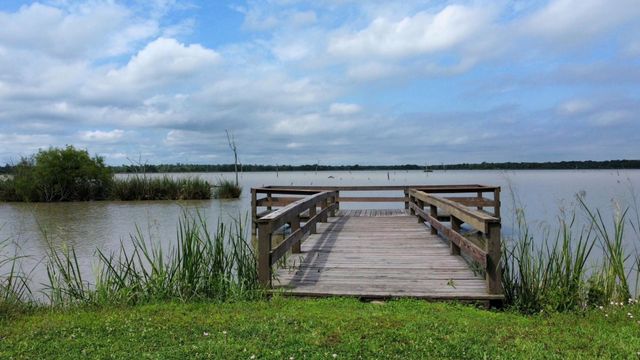 118 Pony Trail, Angleton, TX 77515