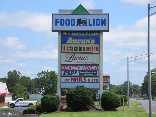 206 N FRUITLAND BLVD, Fruitland, MD 21826
