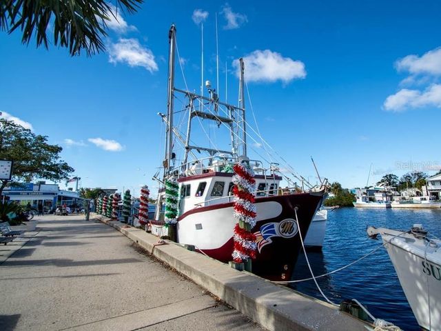 616 WINDRUSH BAY DRIVE 616, Tarpon Springs, FL 34689