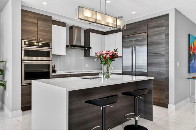 100 1ST AVENUE N 2206, St Petersburg, FL 33701